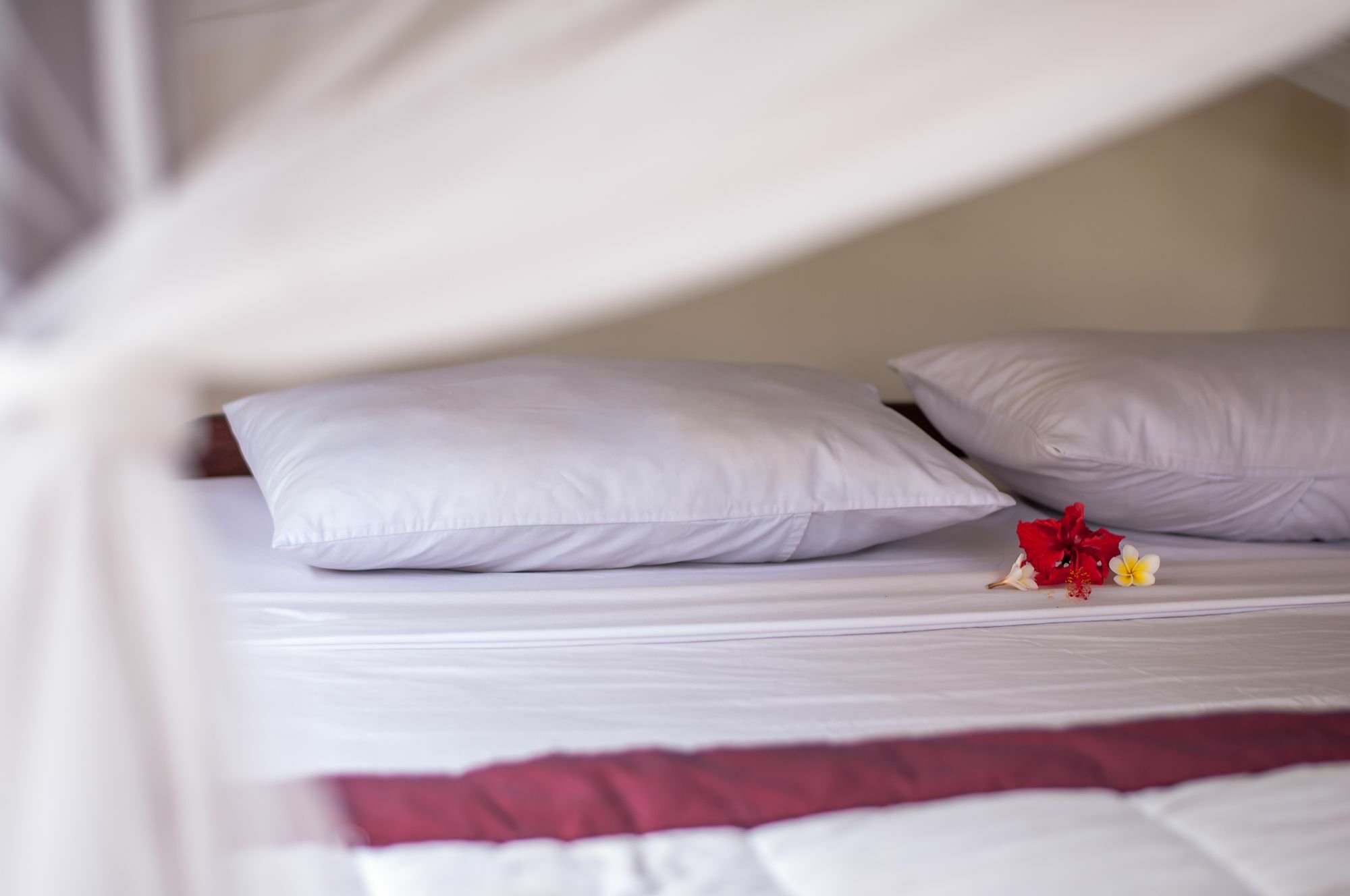 Guest house Bismajaya Ubud (Bali)