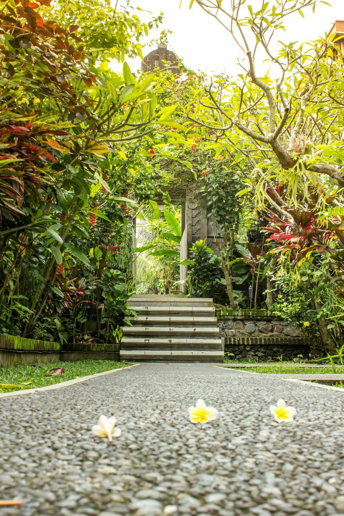 Bismajaya Guest house
