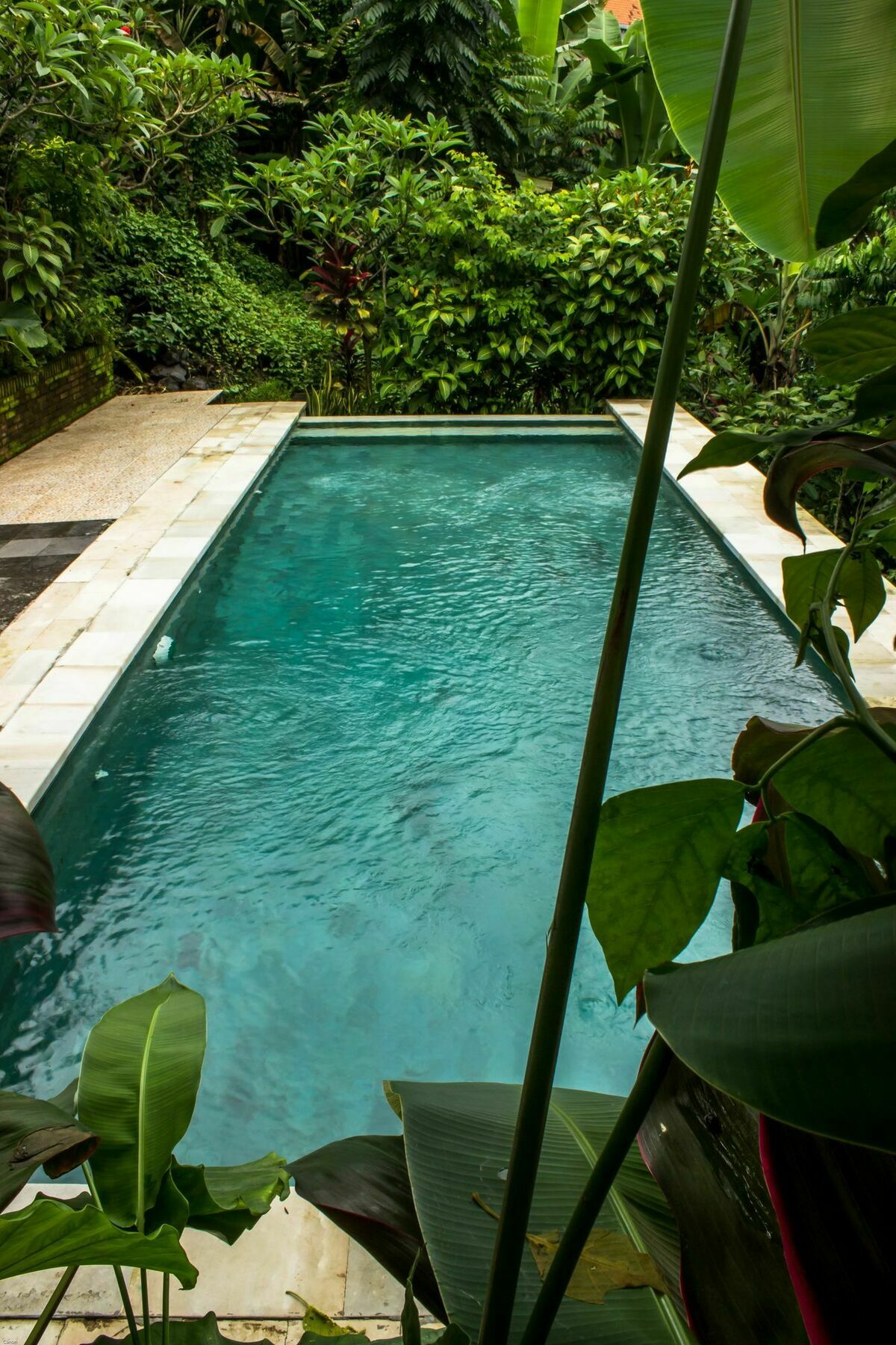 Bismajaya Guest house *