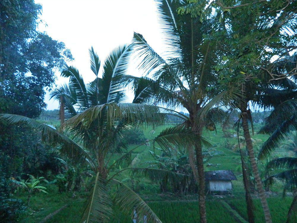 Suly Vegetarian Resort&Spa