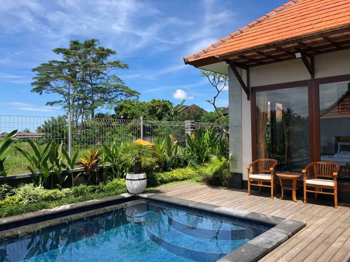 Private Pool - Saia Villa Ubud (Bali)