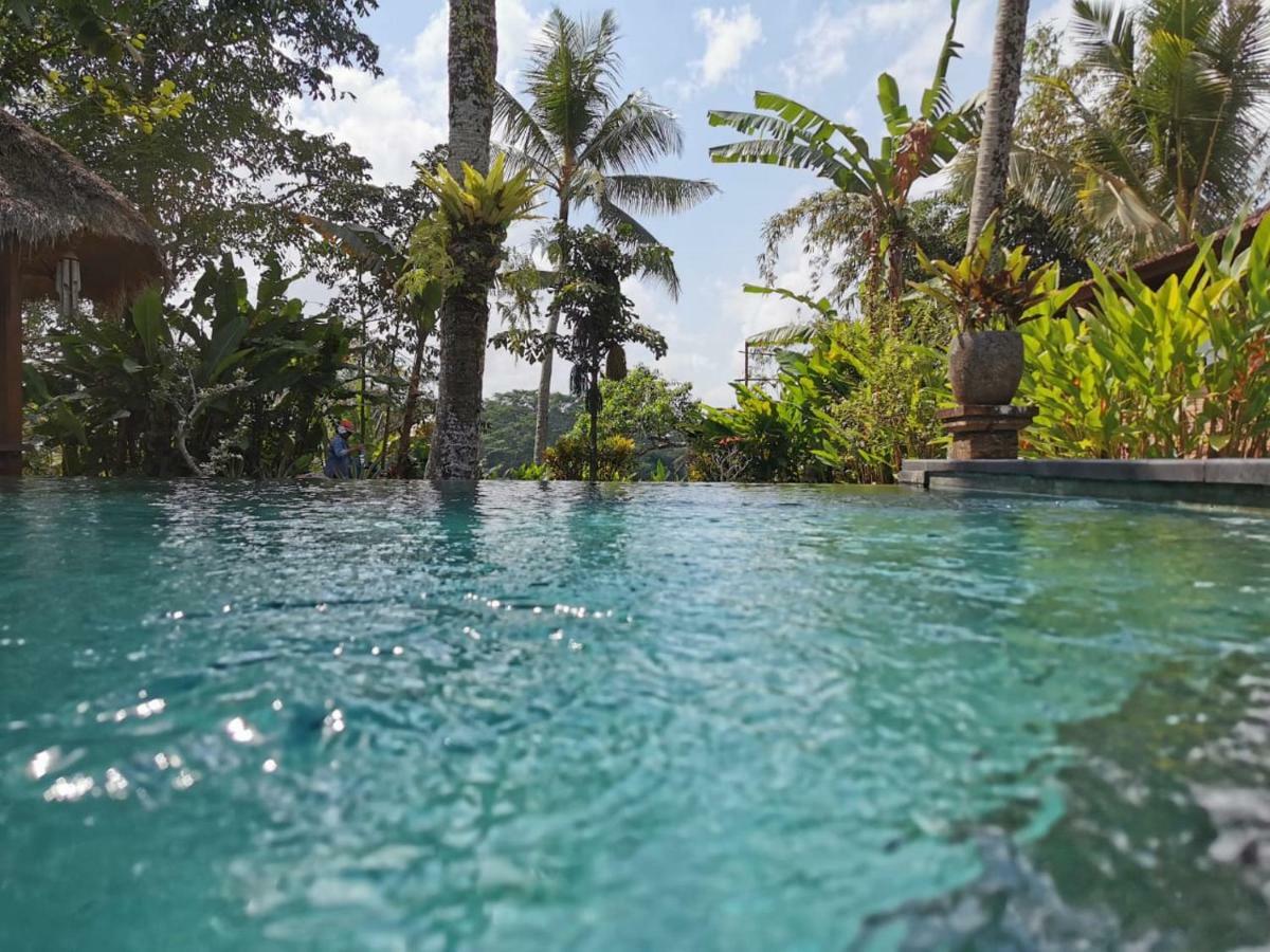 Rumah Sungai Bed & Breakfast Ubud (Bali)