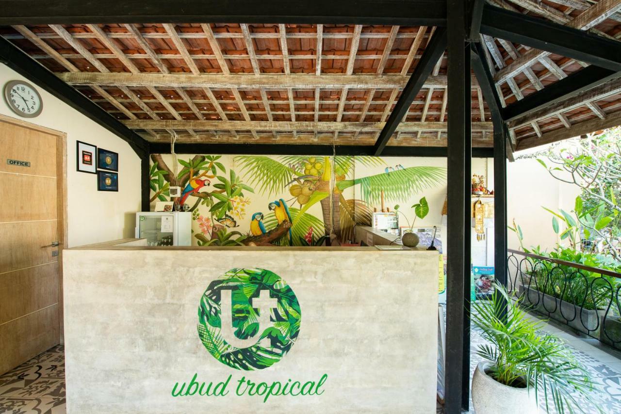 Hostel Tropical