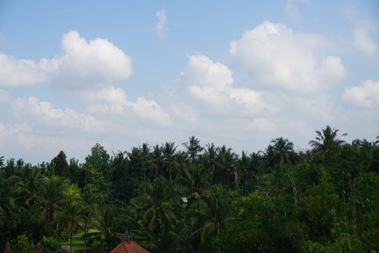 Bed & Breakfast Raditya House