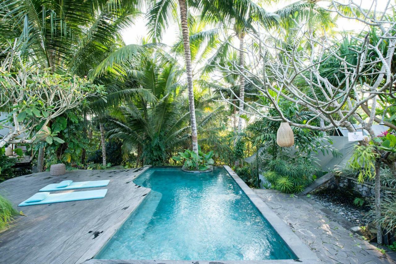 Hostel Tropical