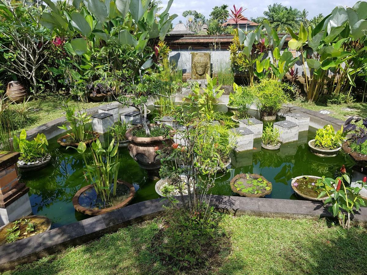 Rumah Sungai 3*