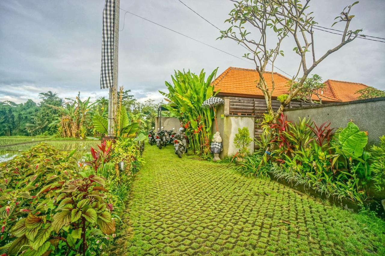 Sukra Kelod *