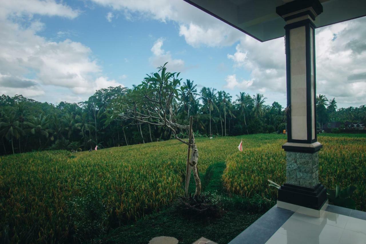 Guest house Kapu Kapu 2*