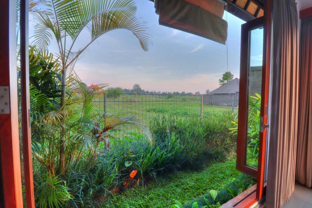 Villa Aprikot