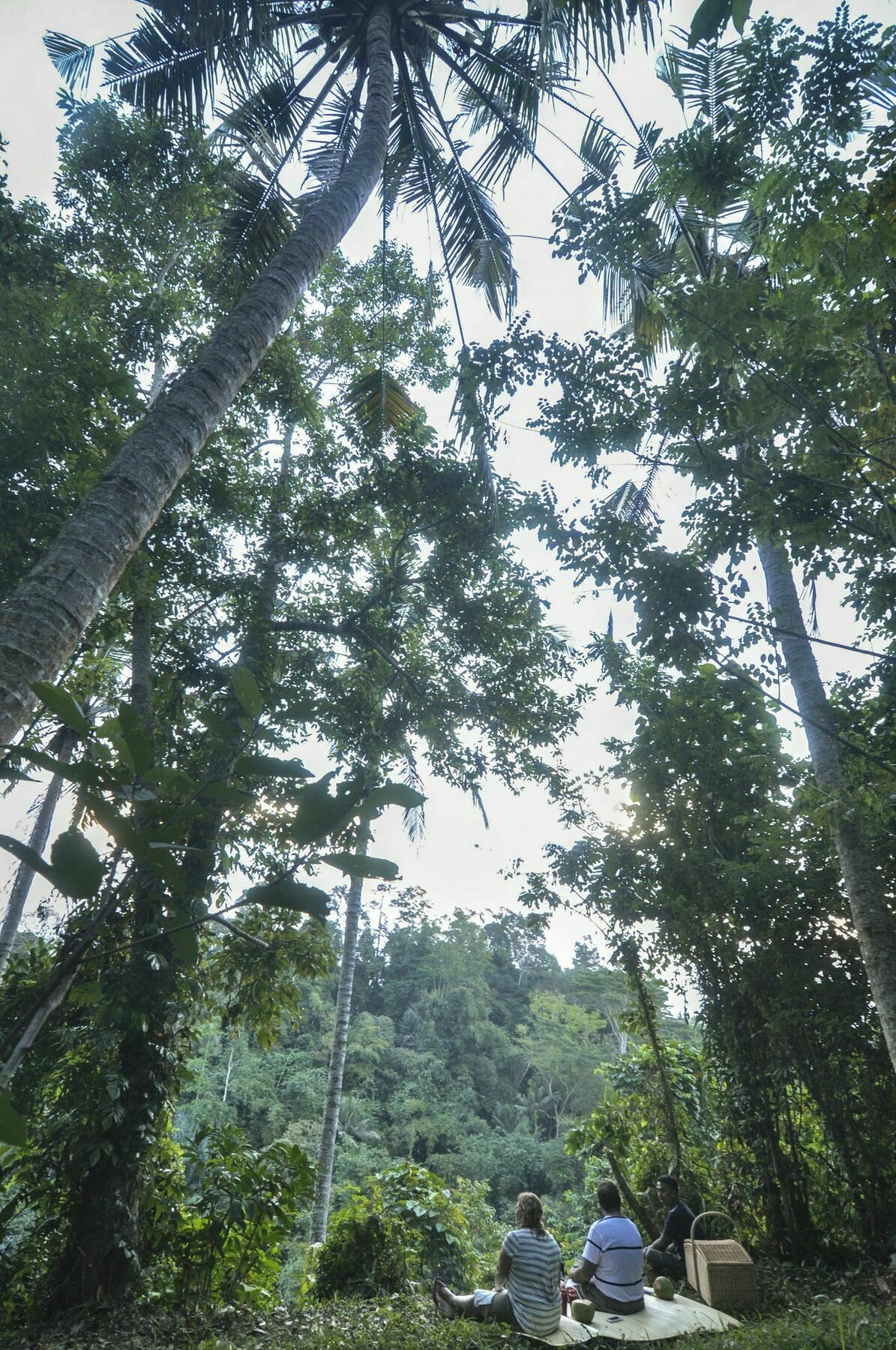 Amora 4* Ubud (Bali)