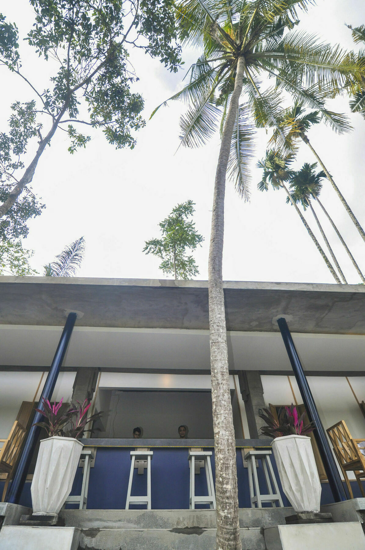 Hotel Amora