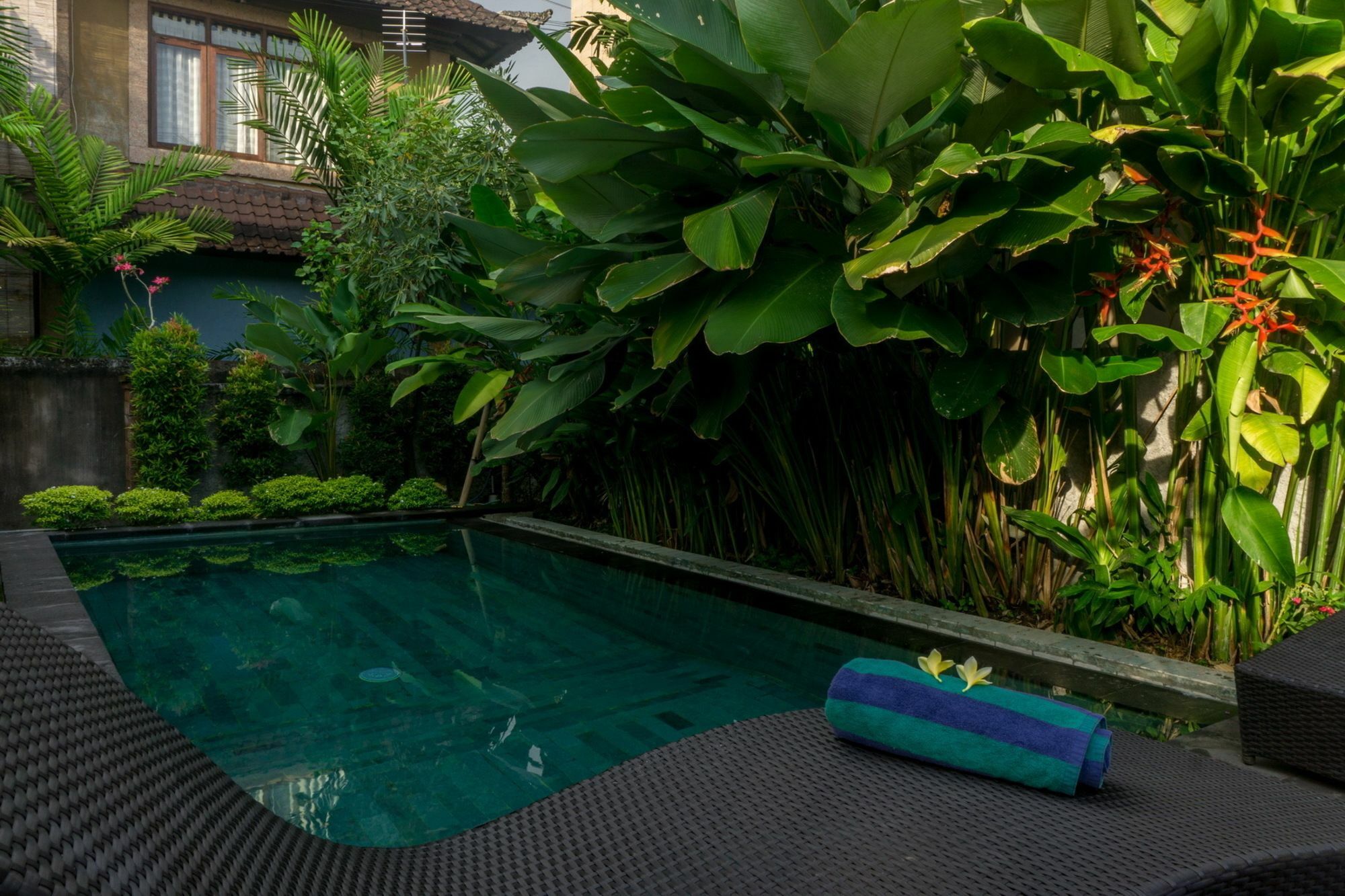 Guest house Eka Bali 3*