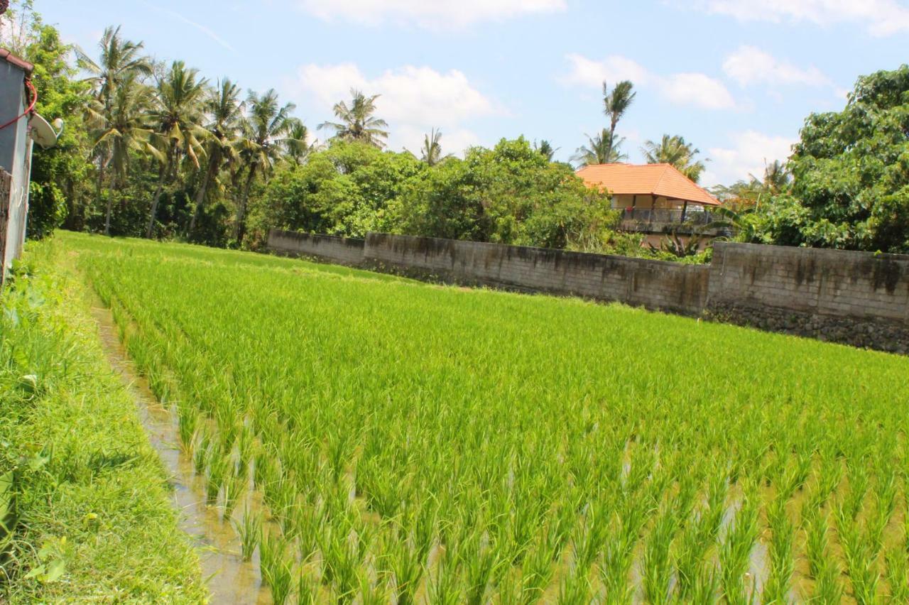 Villa White Creative Campuhan Ubud (Bali)