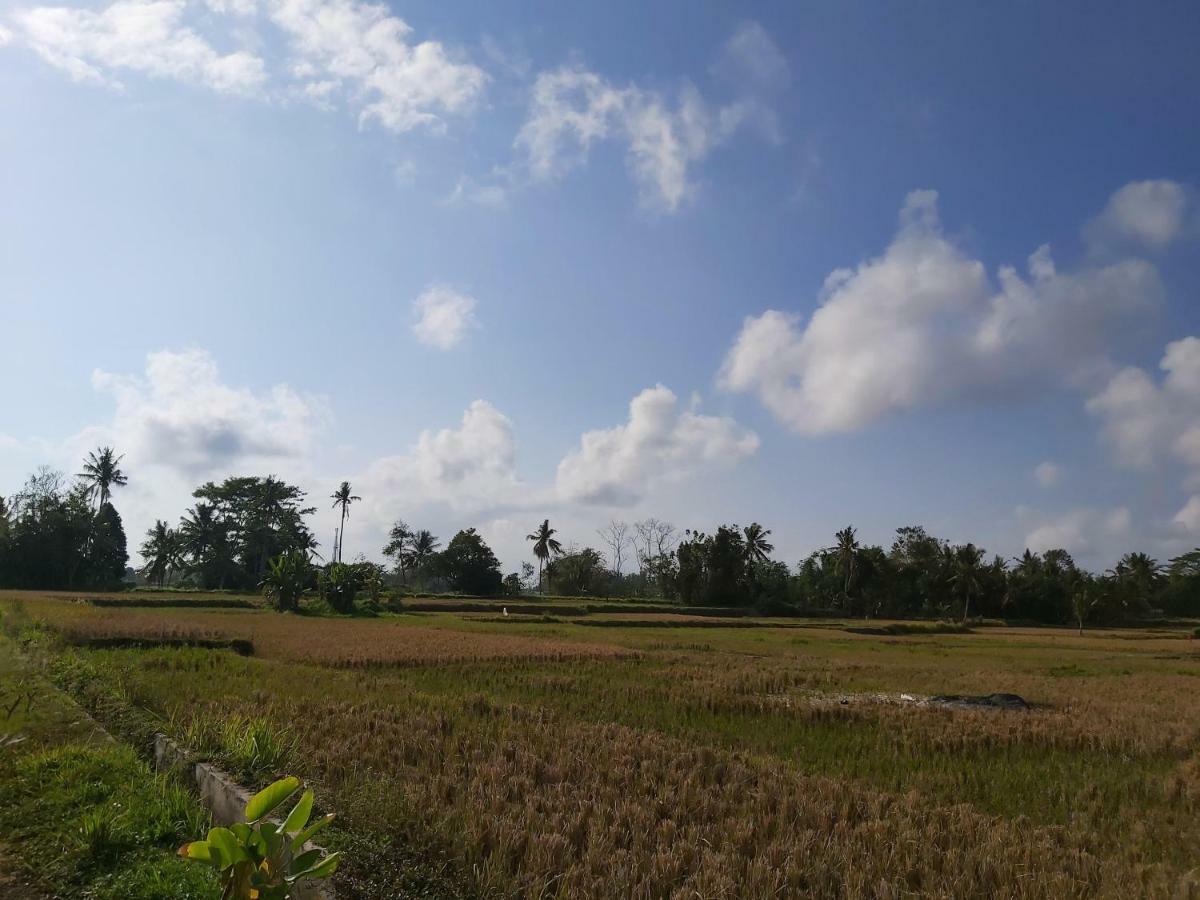 Guest house Ayuna Family