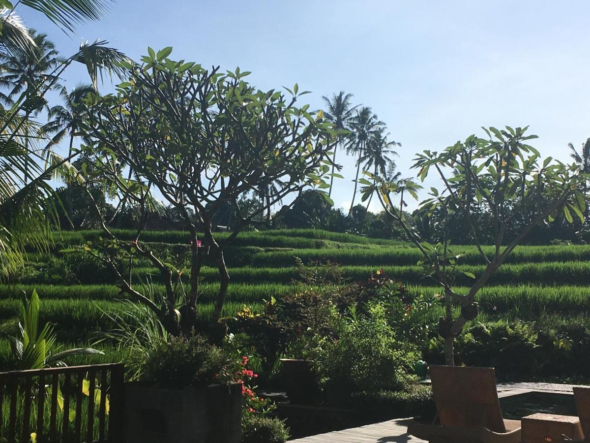 Puri Raya Villa Ubud (Bali)