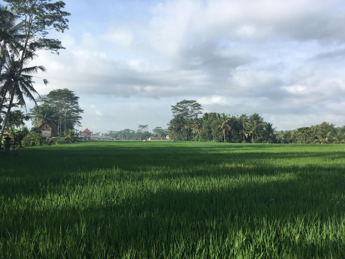 Villa Puri Raya Ubud (Bali)