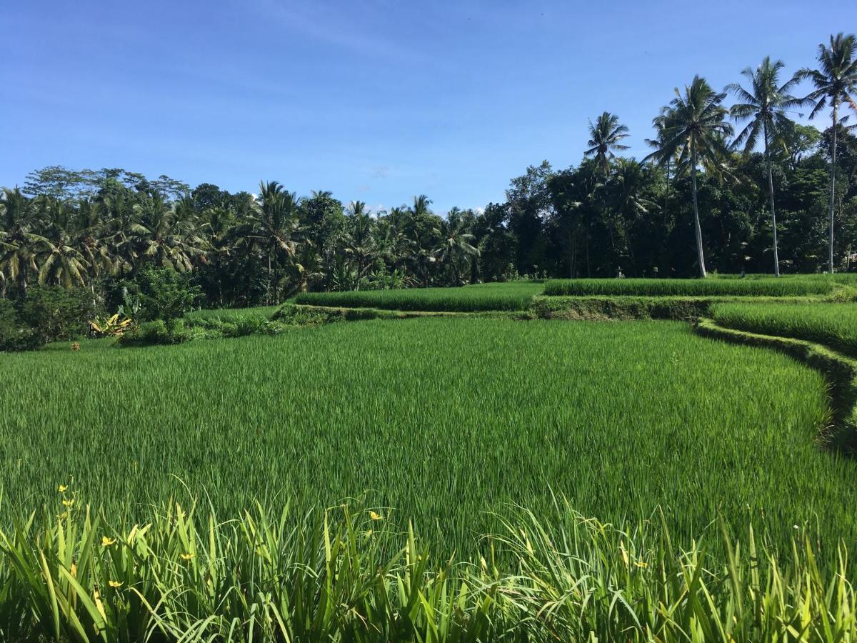 Puri Raya Villa