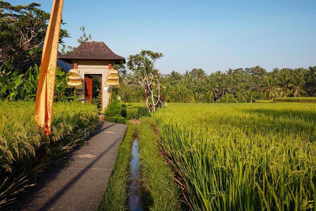Puri Raya Ubud (Bali)
