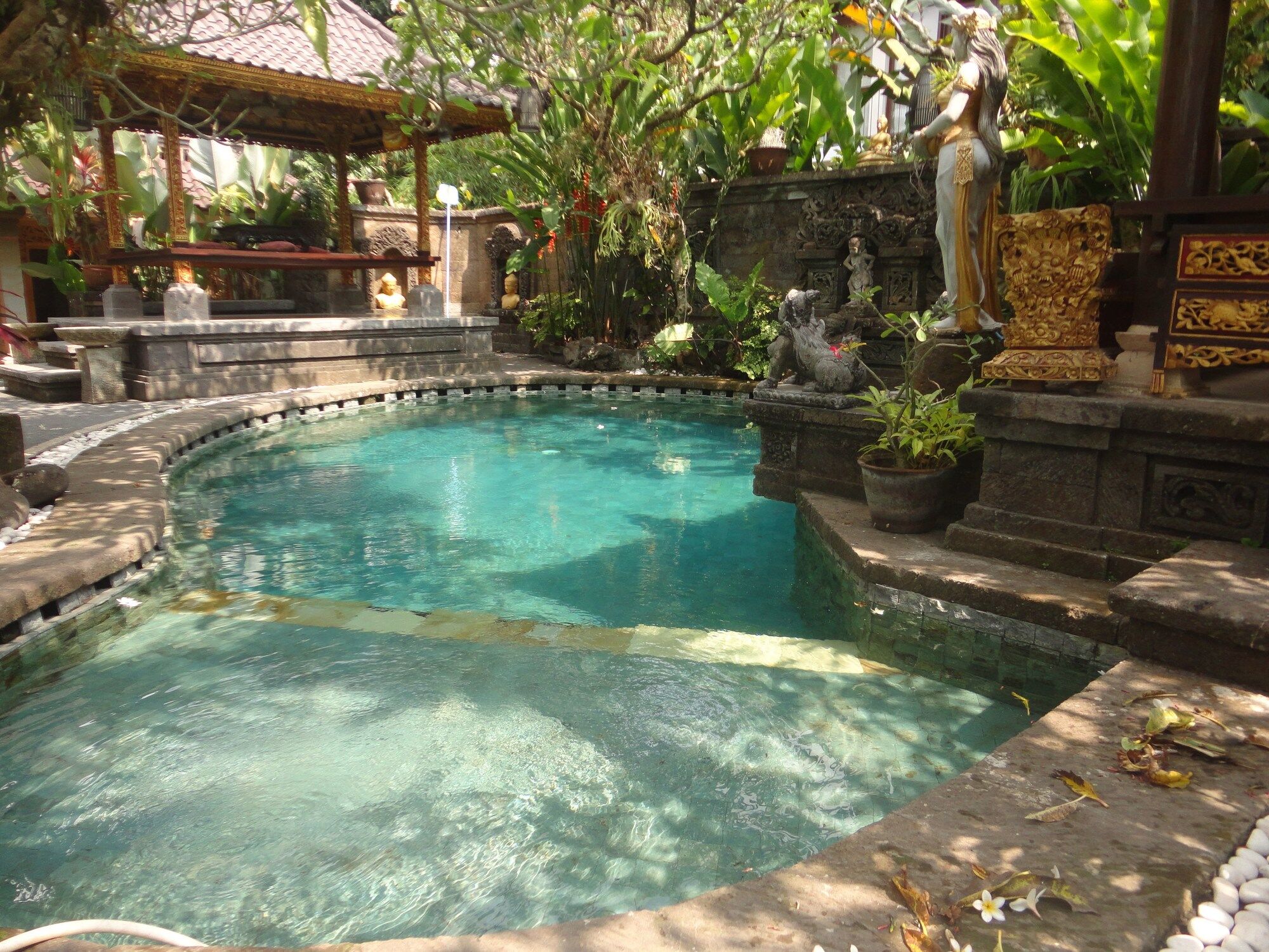 Monkey Forest Hotel