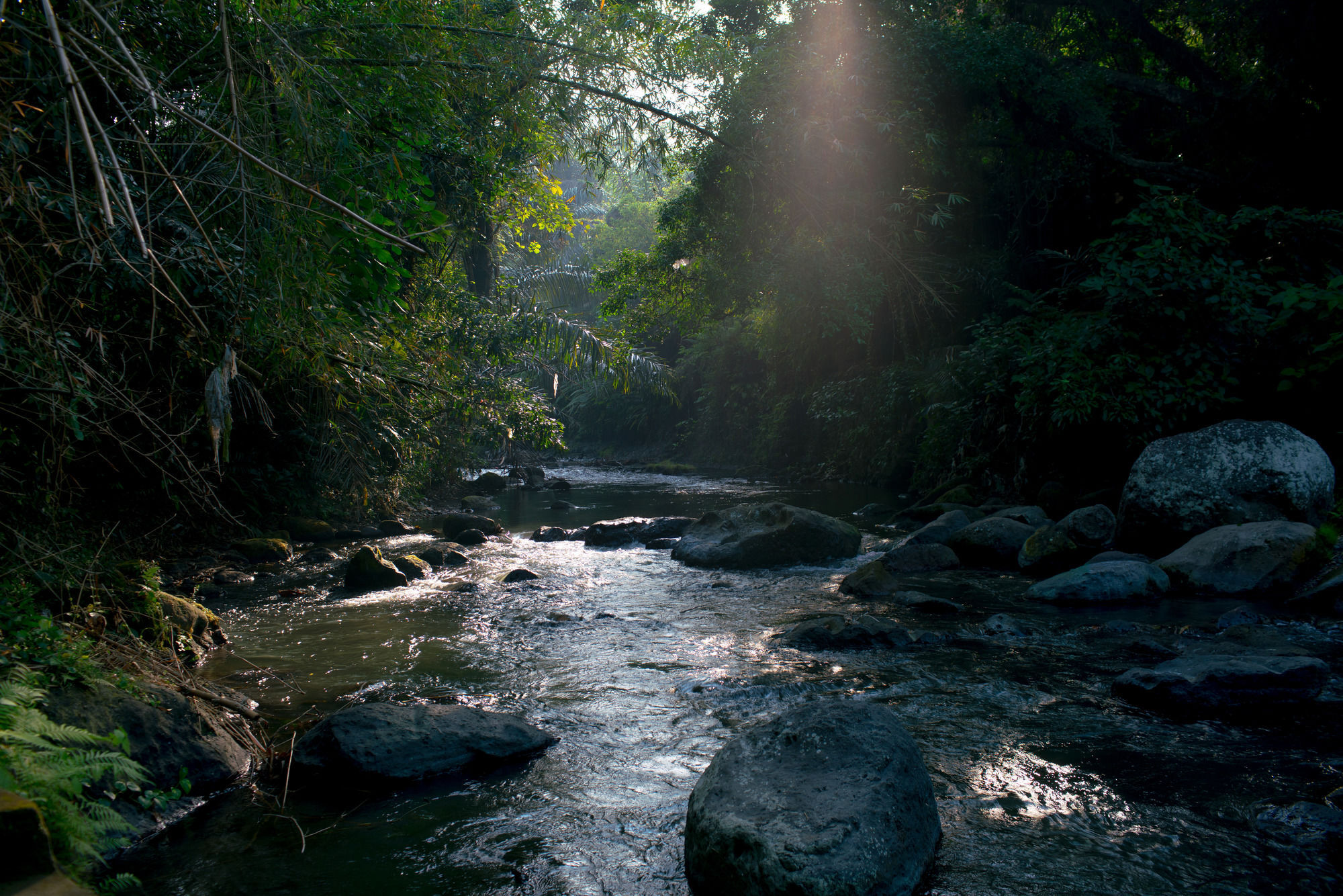 Annapurna River View 3*
