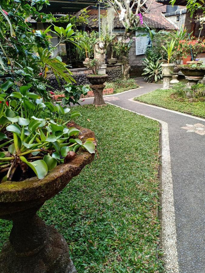 Degeg Guest house *