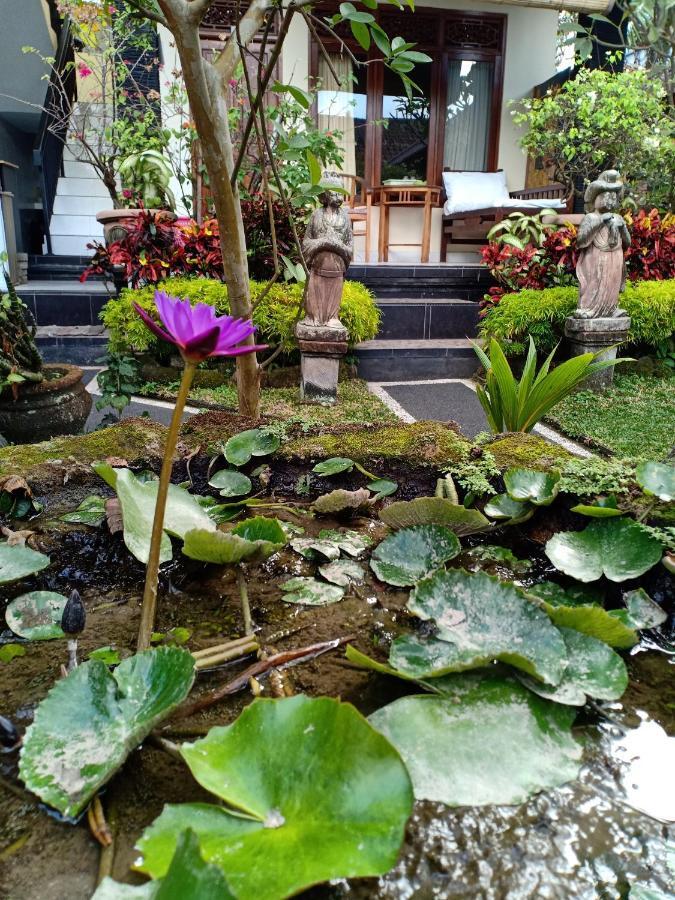 Degeg Guest house *
