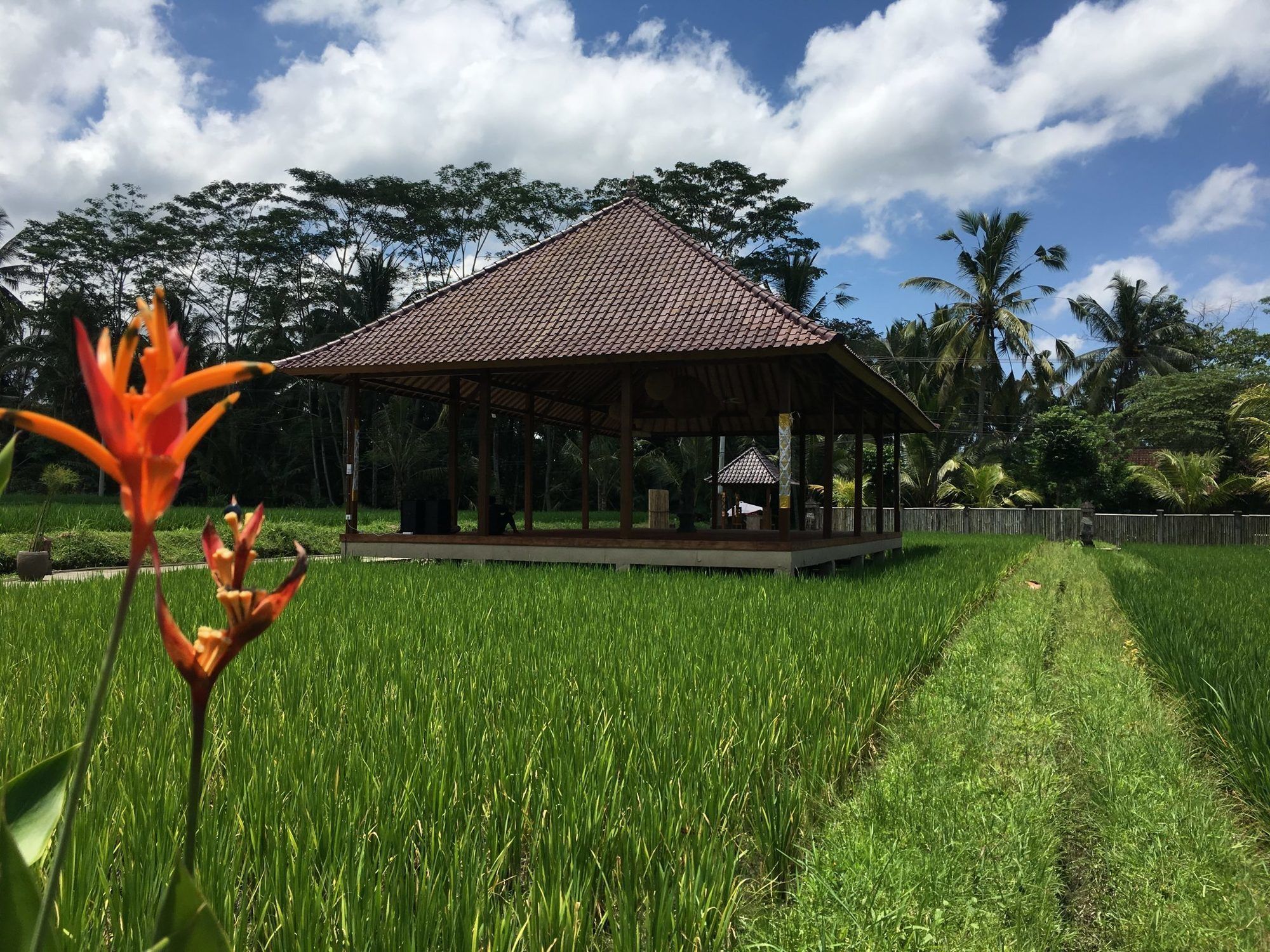 Hotel Santosha & Ubud (Bali)
