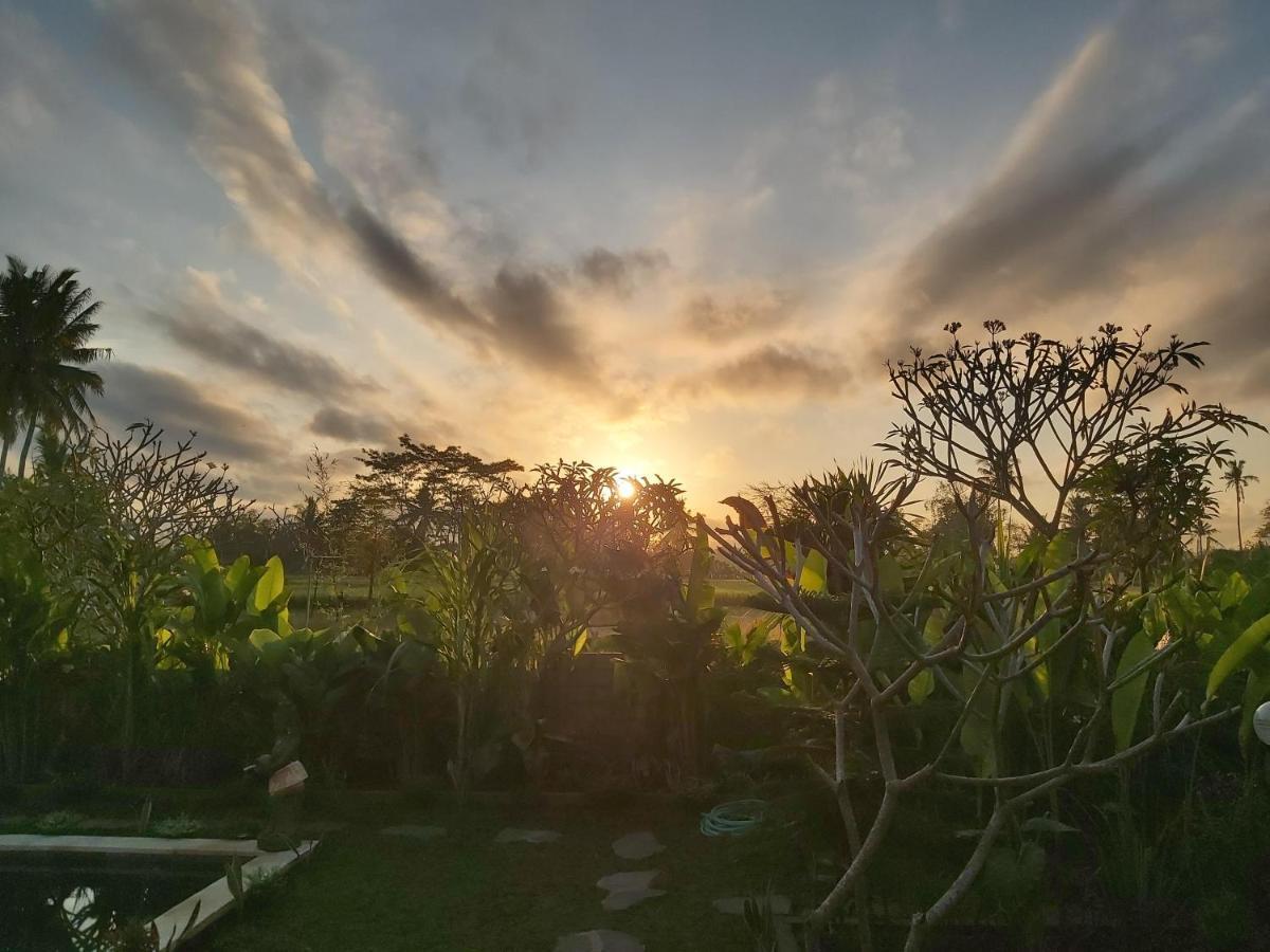 Ayuna Family Guest house 3*