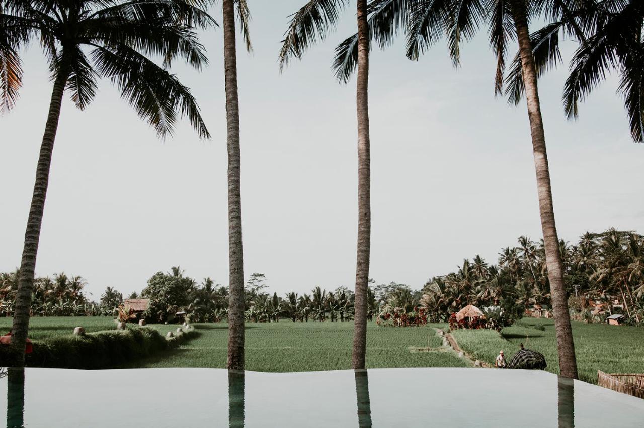 Mathis Retreat Hotel Ubud