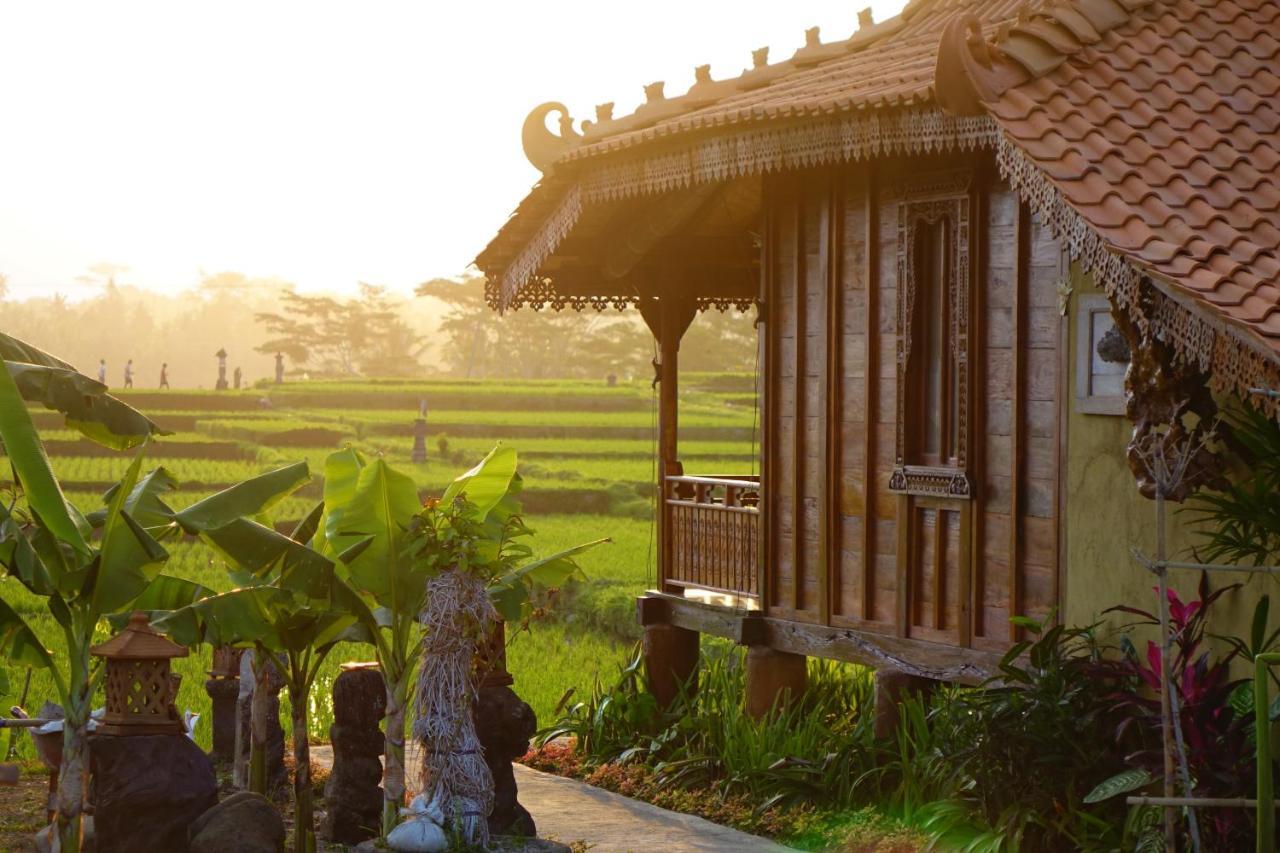 Beta Sunset Joglo Gasthuis Ubud