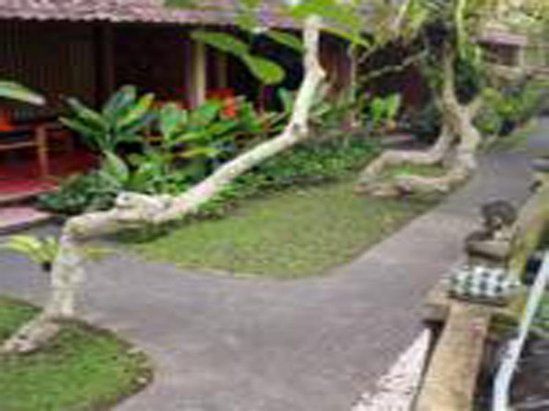 Jati 2* Ubud (Bali)
