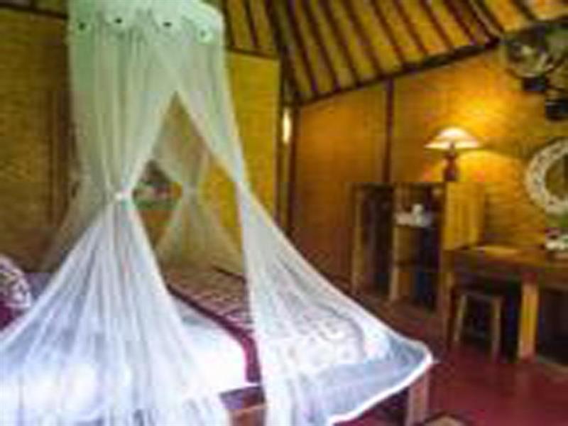 Jati Guest house