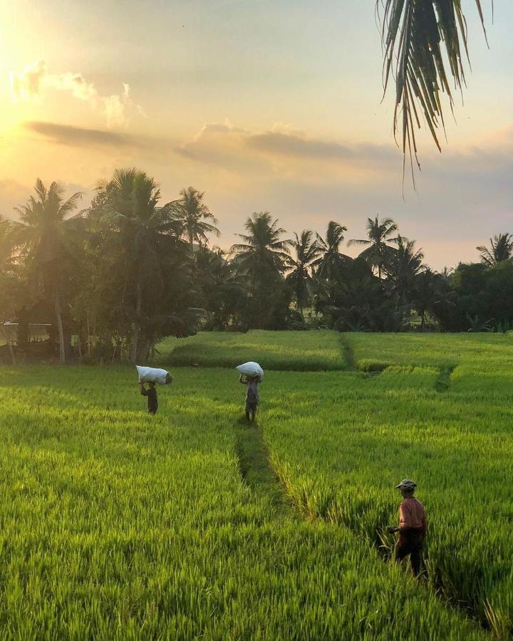 Campo de férias Lodtunduh Sari Ubud