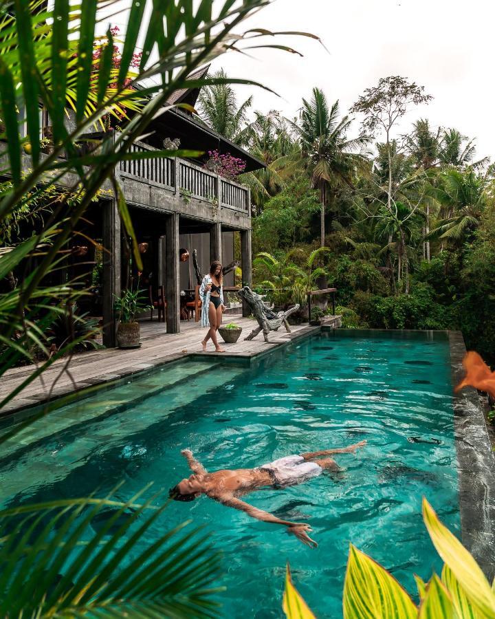 Dragon House - Your Dream House In Bali! Villa Ubud