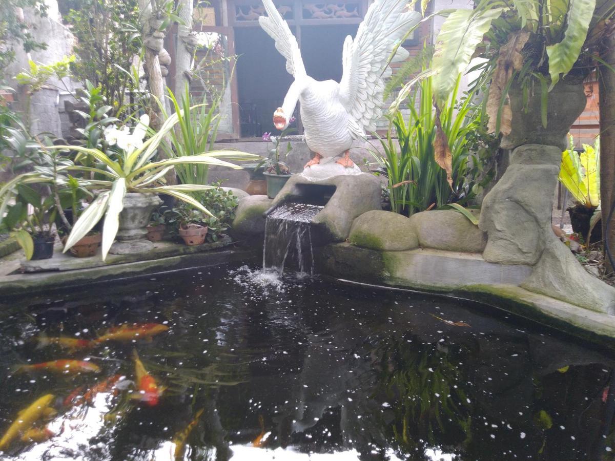 Guest house Dani 2*