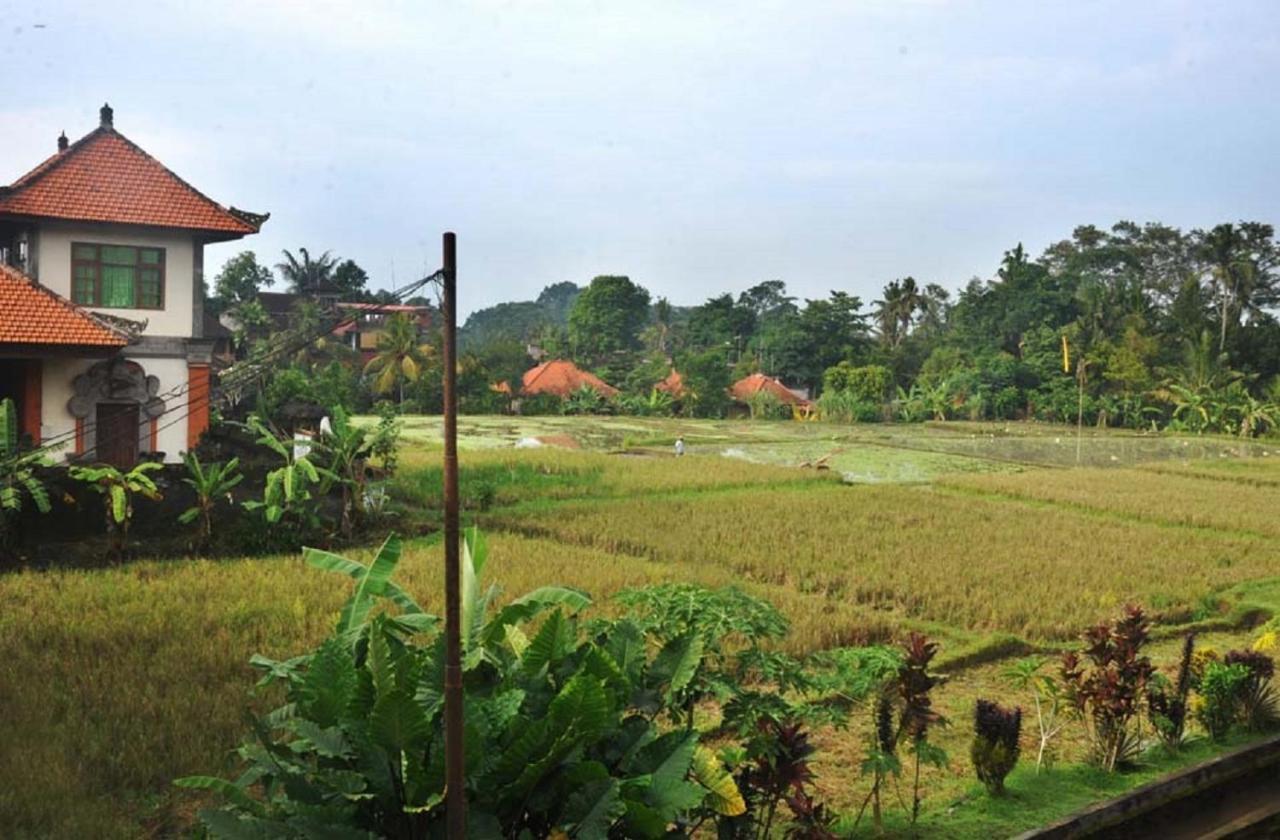 Candra Asri * Ubud