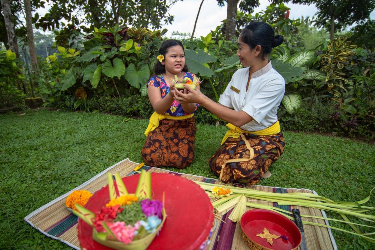 Resort Ashoka Tree At Tanggayuda Ubud