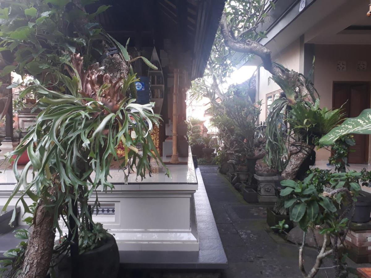 Adi House Guest house *
