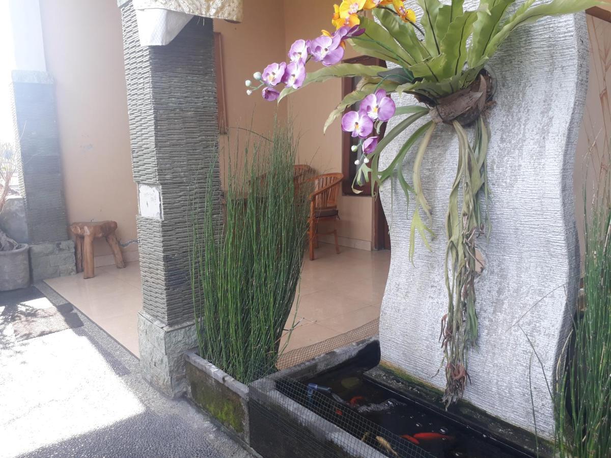 Adi House Guest house *