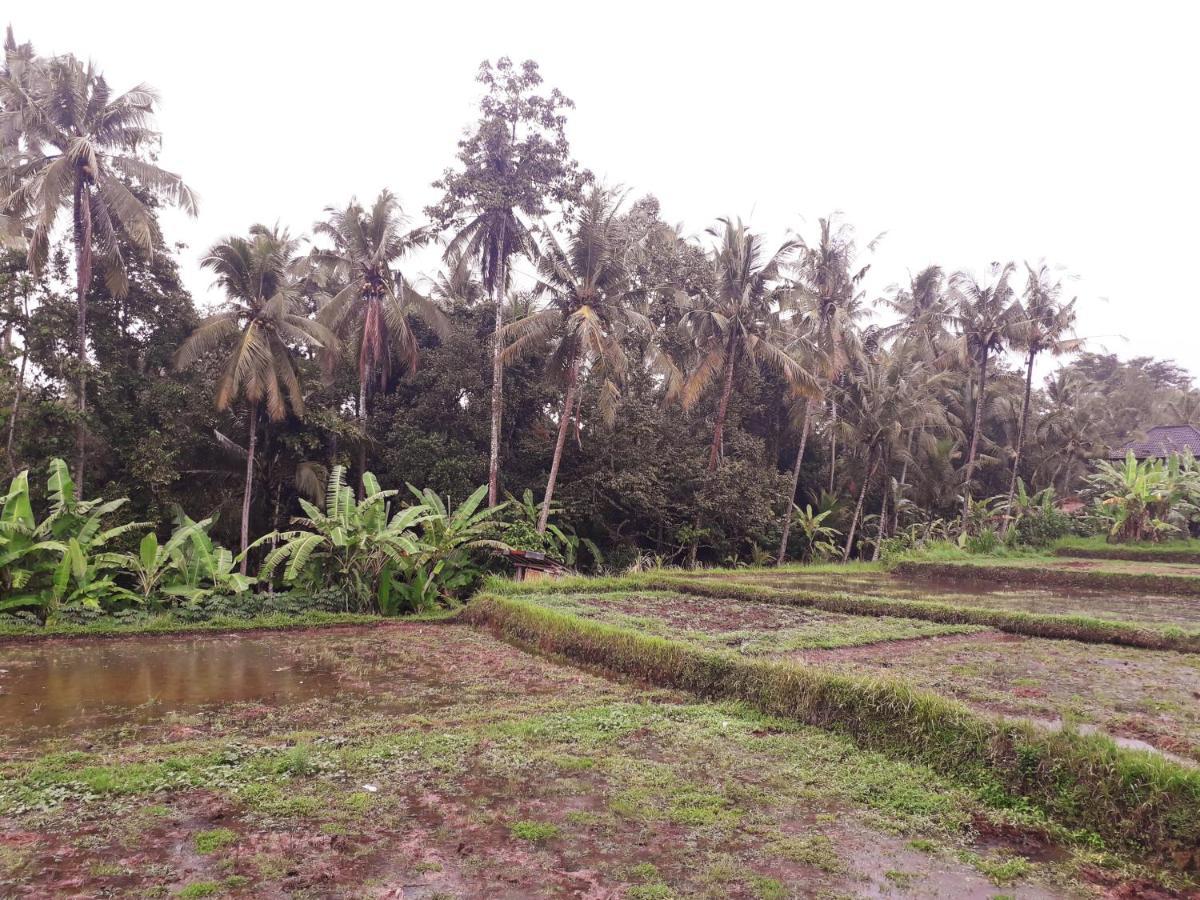 Galang Hari 3*