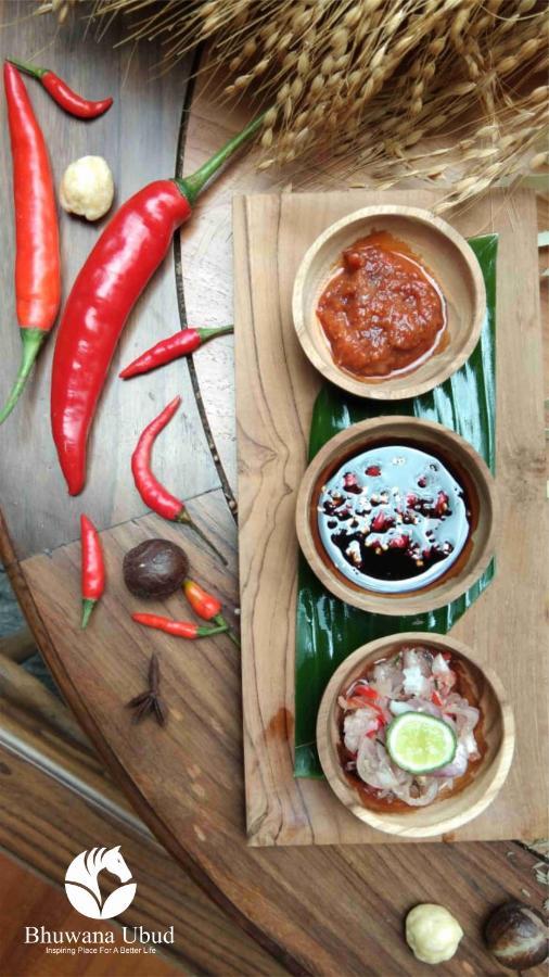 Hotel Bhuwana And Farming Ubud (Bali)