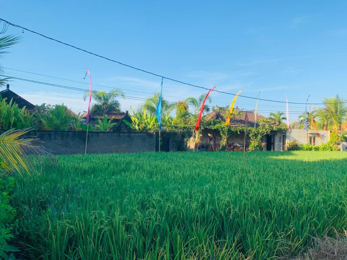D'uma Villa Ubud (Bali)