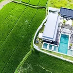 Amazing 3Br Villa In The Middle Of Ricefields