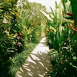 Mesari Hotel Ubud