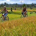 Bali Culture Guesthouse