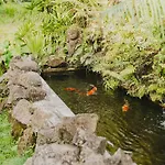 Sweet Orange Pondok