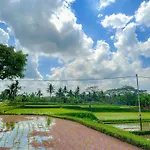 Paddy House Ubud