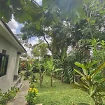 Tegal Harum Villa Ubud With Jungle View