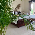 Home Stay Evo
