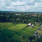 Sari Padi House